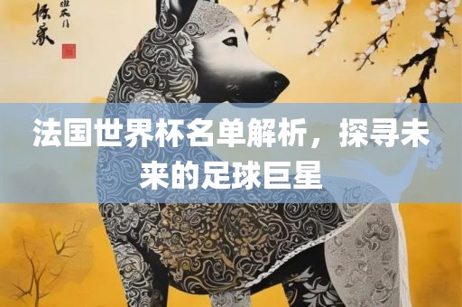 法国世界杯名单解析，探寻未来的足球巨星