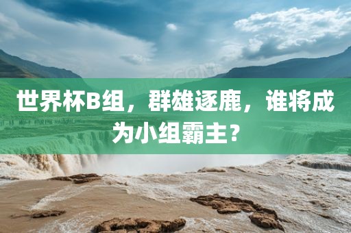 世界杯B组，群雄逐鹿，谁将成为小组霸主？