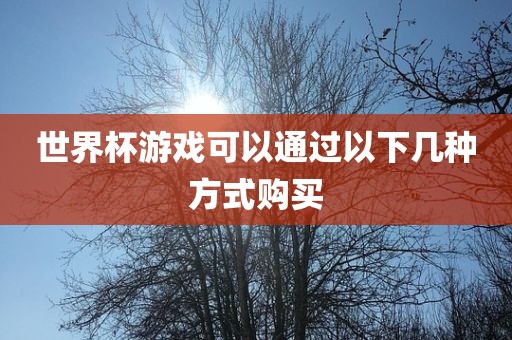 世界杯游戏可以通过以下几种方式购买