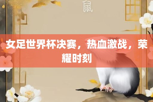 女足世界杯决赛，热血激战，荣耀时刻