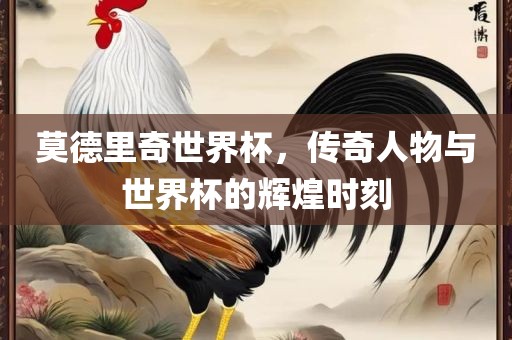 莫德里奇世界杯，传奇人物与世界杯的辉煌时刻