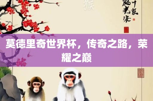 莫德里奇世界杯，传奇之路，荣耀之巅