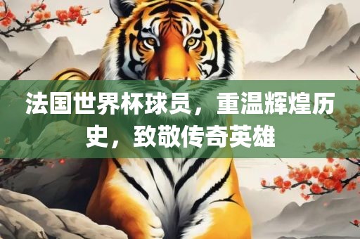法国世界杯球员，重温辉煌历史，致敬传奇英雄