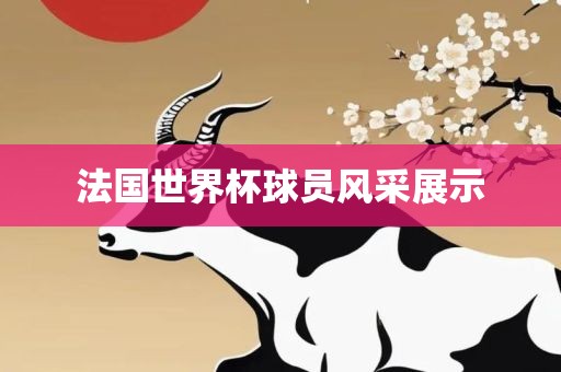法国世界杯球员风采展示