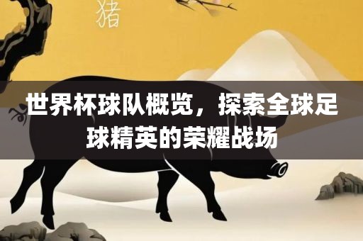 世界杯球队概览，探索全球足球精英的荣耀战场