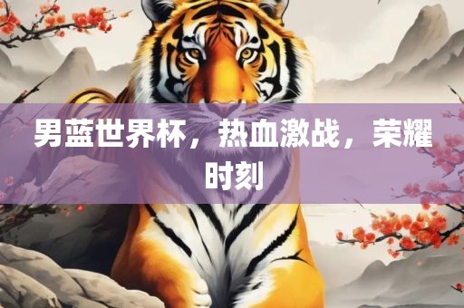 男蓝世界杯，热血激战，荣耀时刻