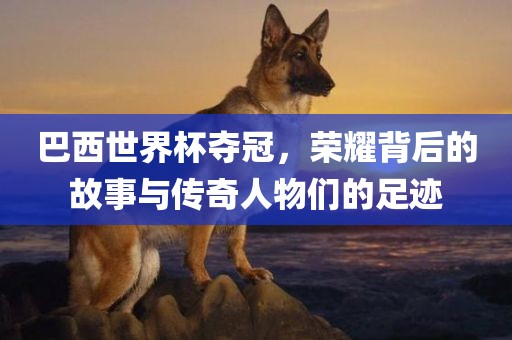 巴西世界杯夺冠，荣耀背后的故事与传奇人物们的足迹