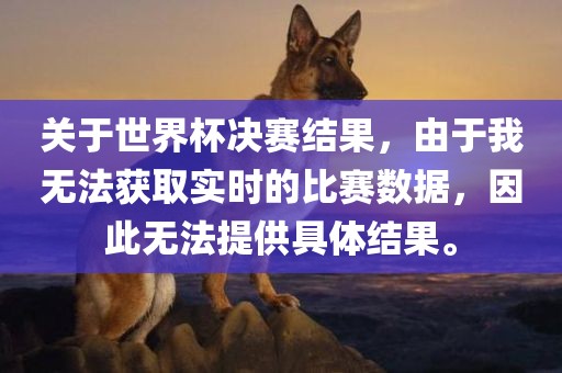 关于世界杯决赛结果，由于我无法获取实时的比赛数据，因此无法提供具体结果。