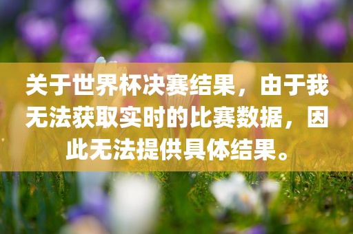 关于世界杯决赛结果，由于我无法获取实时的比赛数据，因此无法提供具体结果。
