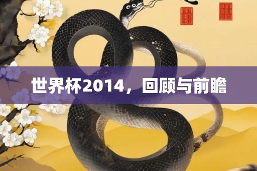 世界杯2014，回顾与前瞻