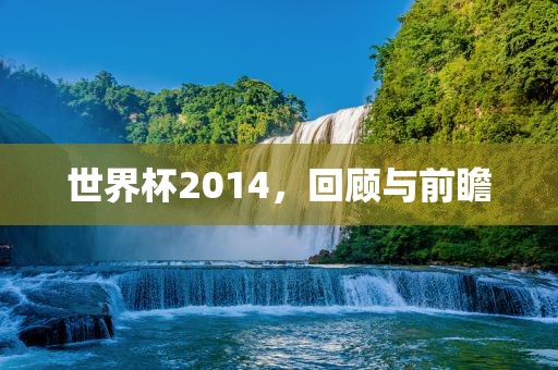 世界杯2014，回顾与前瞻