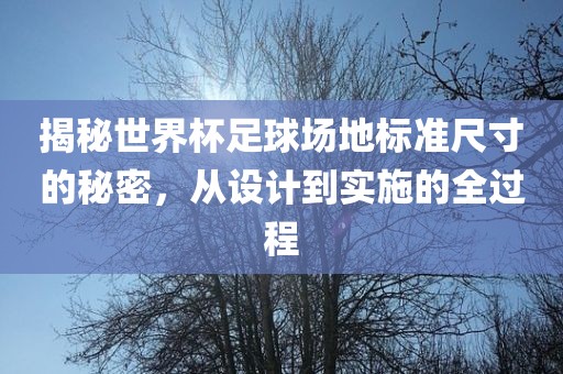 揭秘世界杯足球场地标准尺寸的秘密，从设计到实施的全过程