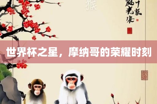 世界杯之星，摩纳哥的荣耀时刻