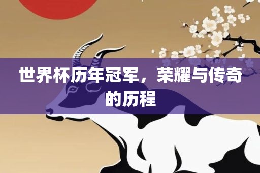 世界杯历年冠军，荣耀与传奇的历程