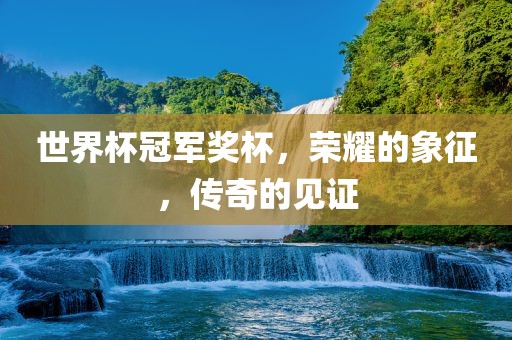 世界杯冠军奖杯，荣耀的象征，传奇的见证