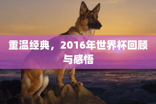 重温经典，2016年世界杯回顾与感悟