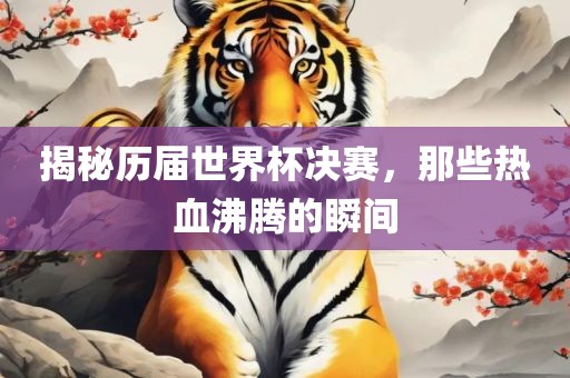 揭秘历届世界杯决赛，那些热血沸腾的瞬间