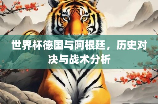 世界杯德国与阿根廷，历史对决与战术分析