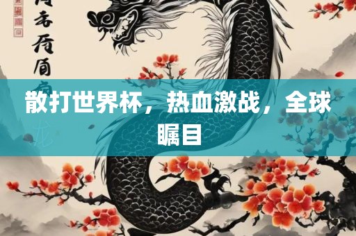 散打世界杯，热血激战，全球瞩目