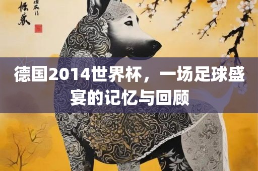 德国2014世界杯，一场足球盛宴的记忆与回顾