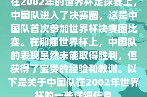 在2002年的世界杯足球赛上，中国队进入了决赛圈，这是中国队首次参加世界杯决赛圈比赛。在那届世界杯上，中国队的表现虽然未能取得胜利，但获得了宝贵的经验和教训。以下是关于中国队在2002年世界杯的一些详细信息