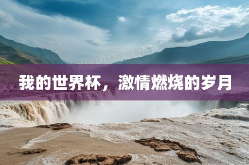 我的世界杯，激情燃烧的岁月
