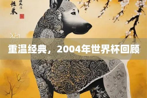 重温经典，2004年世界杯回顾
