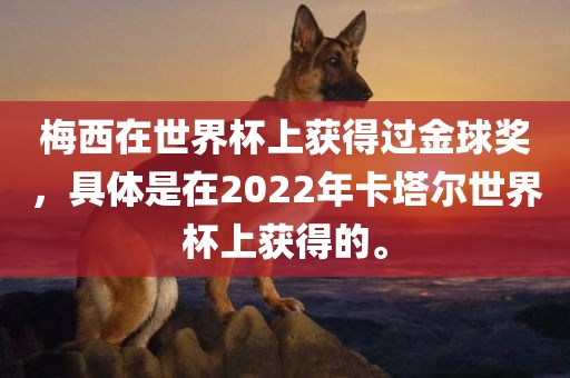 梅西在世界杯上获得过金球奖，具体是在2022年卡塔尔世界杯上获得的。