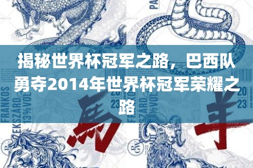 揭秘世界杯冠军之路，巴西队勇夺2014年世界杯冠军荣耀之路