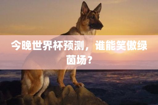 今晚世界杯预测，谁能笑傲绿茵场？