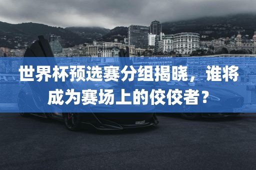 世界杯预选赛分组揭晓，谁将成为赛场上的佼佼者？