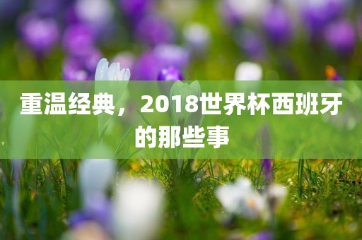 重温经典，2018世界杯西班牙的那些事