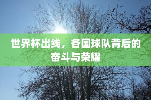 世界杯出线，各国球队背后的奋斗与荣耀