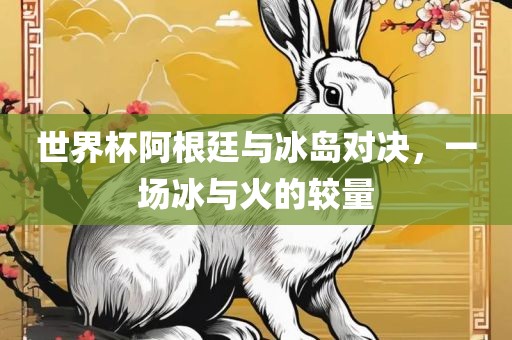 世界杯阿根廷与冰岛对决，一场冰与火的较量