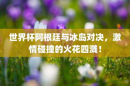 世界杯阿根廷与冰岛对决，激情碰撞的火花四溅！