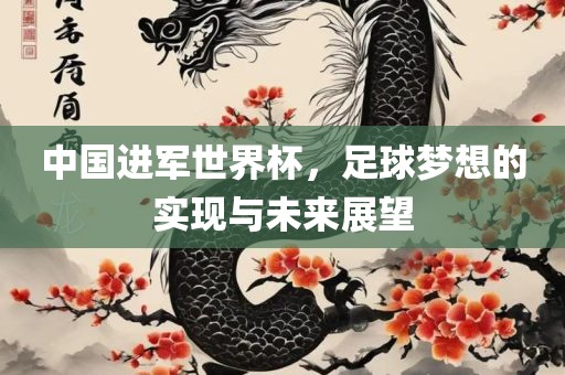 中国进军世界杯，足球梦想的实现与未来展望