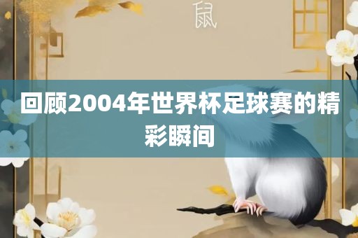 回顾2004年世界杯足球赛的精彩瞬间