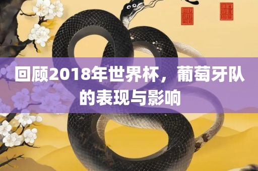 回顾2018年世界杯，葡萄牙队的表现与影响