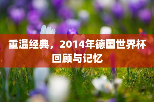 重温经典，2014年德国世界杯回顾与记忆