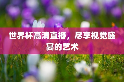 世界杯高清直播，尽享视觉盛宴的艺术