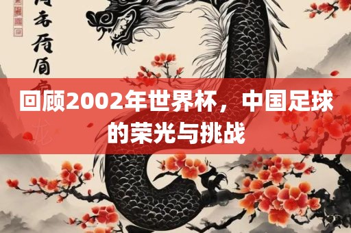 回顾2002年世界杯，中国足球的荣光与挑战