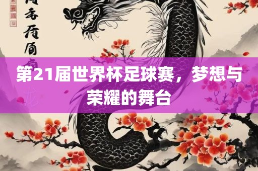 第21届世界杯足球赛，梦想与荣耀的舞台