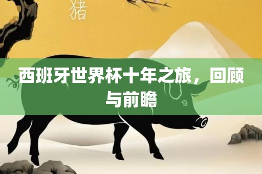 西班牙世界杯十年之旅，回顾与前瞻