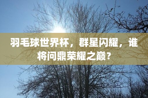 羽毛球世界杯，群星闪耀，谁将问鼎荣耀之巅？