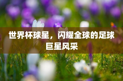 世界杯球星，闪耀全球的足球巨星风采