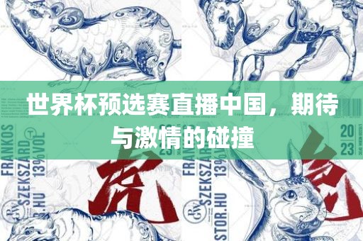 世界杯预选赛直播中国，期待与激情的碰撞