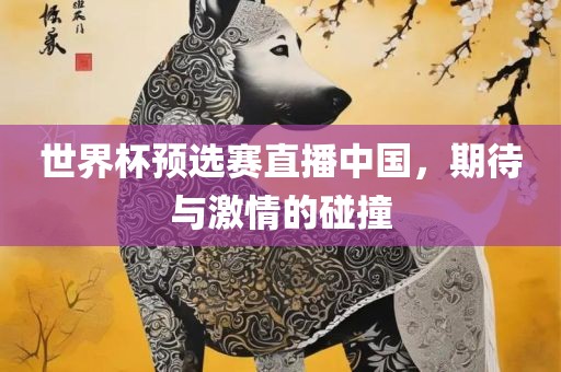 世界杯预选赛直播中国，期待与激情的碰撞