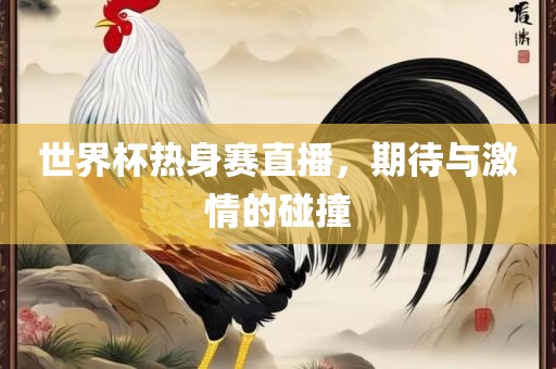 世界杯热身赛直播，期待与激情的碰撞