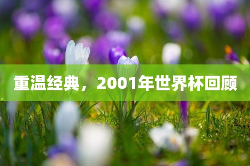 重温经典，2001年世界杯回顾