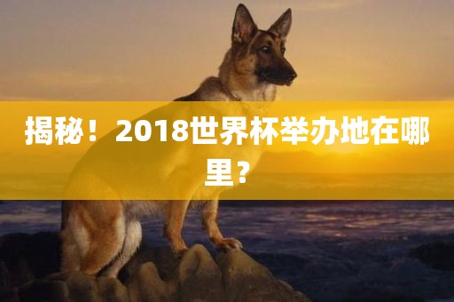 揭秘！2018世界杯举办地在哪里？